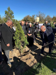 Zəfər Günü münasibətilə ağacəkmə aksiyası keçirilib