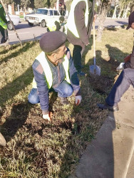 Beyləqanda əlverişli hava şəraiti ilə əlaqədar olaraq yaşıllaşdırma tədbirlərinə başlanılıb.