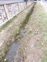 Beyləqan şəhərinin daha bir neçə küçəsində abadlıq işləri aparılıb.