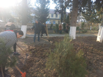Beyləqanda genişmiqyaslı iməclik aksiyası keçirilib.