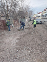 Beyləqan Rayon İcra Hakimiyyətinin təşəbbüsü ilə Beyləqan şəhərinin prospekt və küçələrində abadlıq və təmizlik işləri davam etdirilir.
