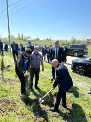 Beyləqanda “Şəhərsalma və Memarlıq İli” çərçivəsində ağacəkmə aksiyası keçirilib