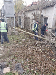 Beyləqan şəhərinin küçələrində təmizlik və abadlıq işləri aparılır